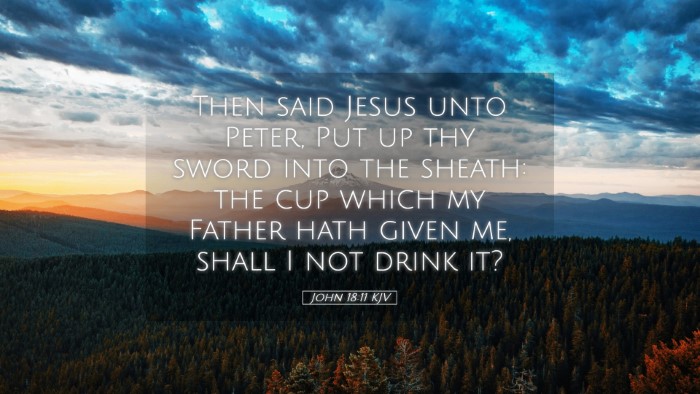 Picture 05 - John 18:11 KJV Desktop Wallpaper - Then said Jesus unto Peter, Put up thy sword into - Desktop Bible Verse Wallpaper