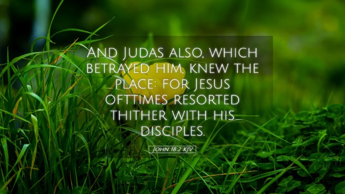 Picture 05 - John 18:2 KJV Desktop Wallpaper - And Judas also, which betrayed him, knew the - Desktop Bible Verse Wallpaper