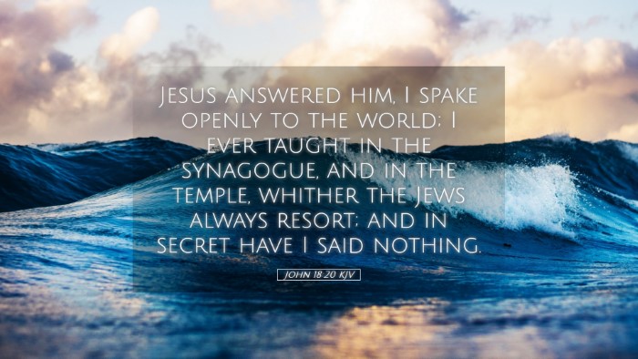 Picture 05 - John 18:20 KJV Desktop Wallpaper - Jesus answered him, I spake openly to the world; - Desktop Bible Verse Wallpaper
