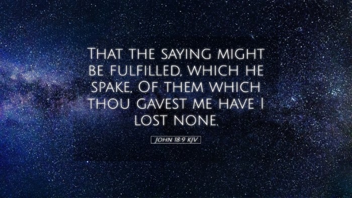 Picture 05 - John 18:9 KJV Desktop Wallpaper - That the saying might be fulfilled, which he - Desktop Bible Verse Wallpaper