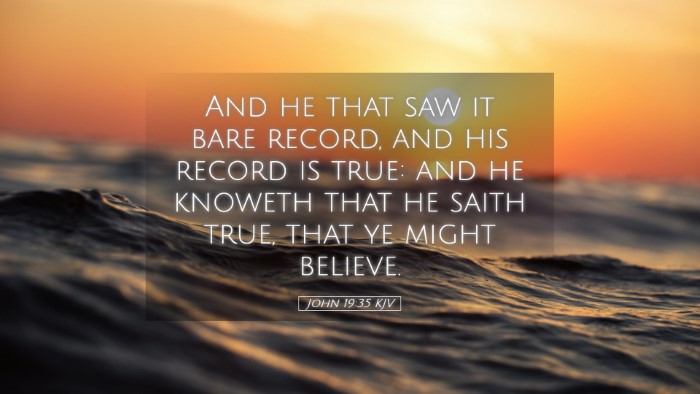 Picture 05 - John 19:35 KJV Desktop Wallpaper - And he that saw it bare record, and his record is - Desktop Bible Verse Wallpaper