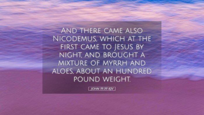 Picture 05 - John 19:39 KJV Desktop Wallpaper - And there came also Nicodemus, which at the first - Desktop Bible Verse Wallpaper