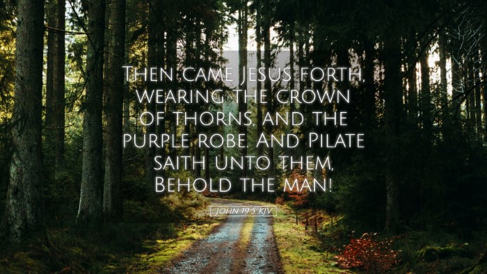 Picture 05 - John 19:5 KJV Desktop Wallpaper - Then came Jesus forth, wearing the crown of - Desktop Bible Verse Wallpaper