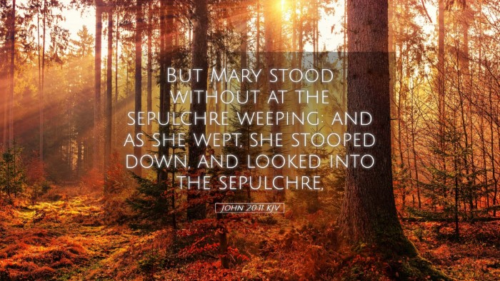 Picture 05 - John 20:11 KJV Desktop Wallpaper - But Mary stood without at the sepulchre weeping: - Desktop Bible Verse Wallpaper