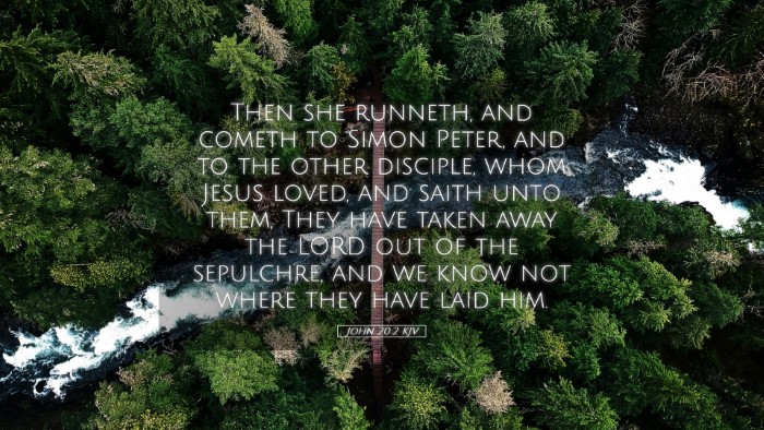 Picture 05 - John 20:2 KJV Desktop Wallpaper - Then she runneth, and cometh to Simon Peter, and - Desktop Bible Verse Wallpaper