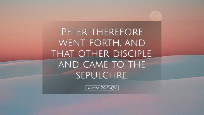 Picture 05 - John 20:3 KJV Desktop Wallpaper - Peter therefore went forth, and that other - Desktop Bible Verse Wallpaper