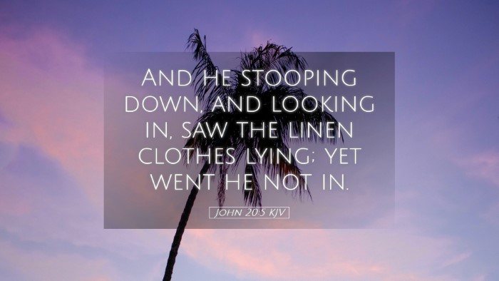 Picture 05 - John 20:5 KJV Desktop Wallpaper - And he stooping down, and looking in, saw the - Desktop Bible Verse Wallpaper