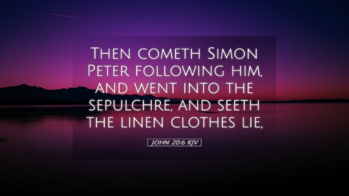 Picture 05 - John 20:6 KJV Desktop Wallpaper - Then cometh Simon Peter following him, and went - Desktop Bible Verse Wallpaper