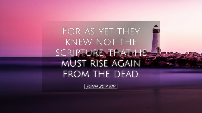 Picture 05 - John 20:9 KJV Desktop Wallpaper - For as yet they knew not the scripture, that he - Desktop Bible Verse Wallpaper