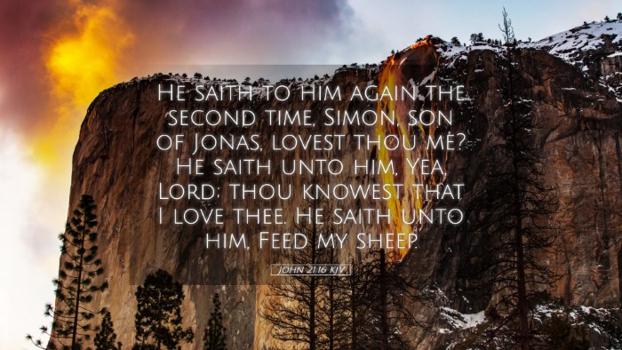 Picture 05 - John 21:16 KJV Desktop Wallpaper - He saith to him again the second time, Simon, son - Desktop Bible Verse Wallpaper