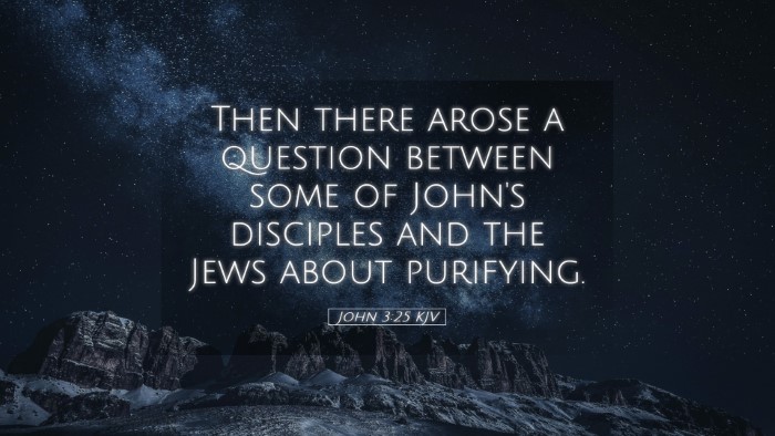 Picture 05 - John 3:25 KJV Desktop Wallpaper - Then there arose a question between some of - Desktop Bible Verse Wallpaper