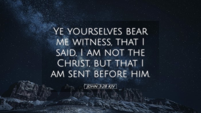 Picture 05 - John 3:28 KJV Desktop Wallpaper - Ye yourselves bear me witness, that I said, I am - Desktop Bible Verse Wallpaper