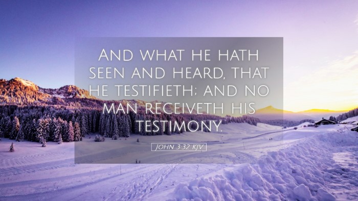Picture 05 - John 3:32 KJV Desktop Wallpaper - And what he hath seen and heard, that he - Desktop Bible Verse Wallpaper