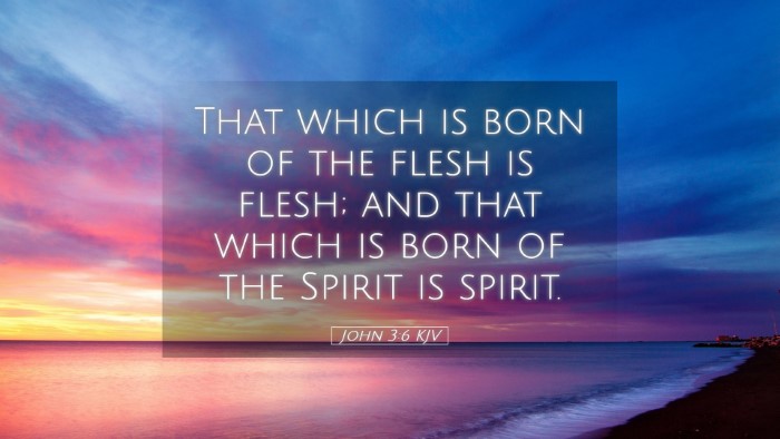 Picture 05 - John 3:6 KJV Desktop Wallpaper - That which is born of the flesh is flesh; and - Desktop Bible Verse Wallpaper