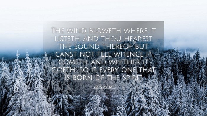 Picture 05 - John 3:8 KJV Desktop Wallpaper - The wind bloweth where it listeth, and thou - Desktop Bible Verse Wallpaper