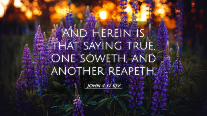 Picture 05 - John 4:37 KJV Desktop Wallpaper - And herein is that saying true, One soweth, and - Desktop Bible Verse Wallpaper