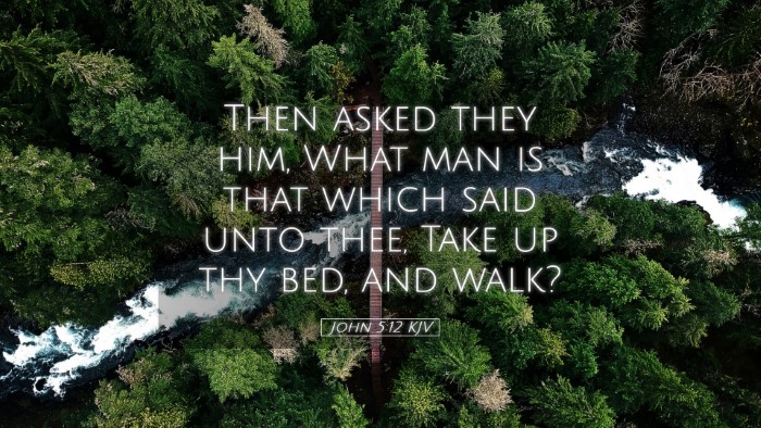 Picture 05 - John 5:12 KJV Desktop Wallpaper - Then asked they him, What man is that which said - Desktop Bible Verse Wallpaper