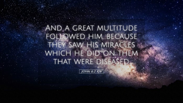 Picture 05 - John 6:2 KJV Desktop Wallpaper - And a great multitude followed him, because they - Desktop Bible Verse Wallpaper