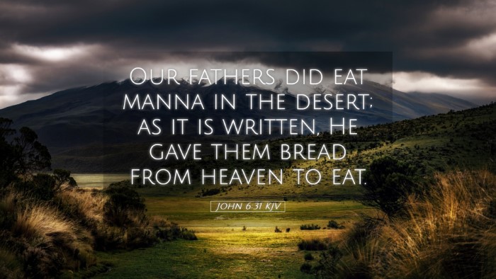 Picture 05 - John 6:31 KJV Desktop Wallpaper - Our fathers did eat manna in the desert; as it is - Desktop Bible Verse Wallpaper