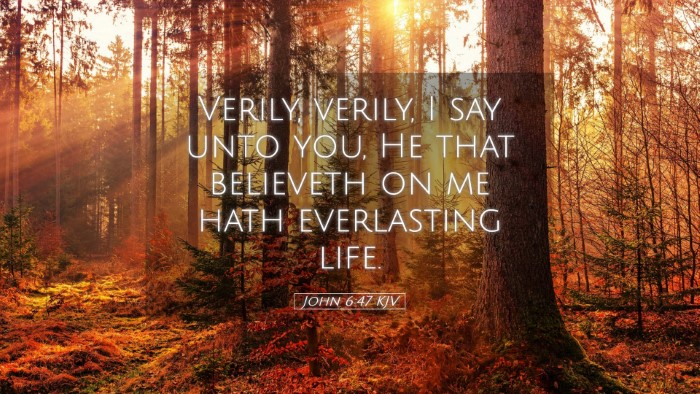 Picture 05 - John 6:47 KJV Desktop Wallpaper - Verily, verily, I say unto you, He that believeth - Desktop Bible Verse Wallpaper