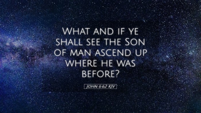 Picture 05 - John 6:62 KJV Desktop Wallpaper - What and if ye shall see the Son of man ascend up - Desktop Bible Verse Wallpaper