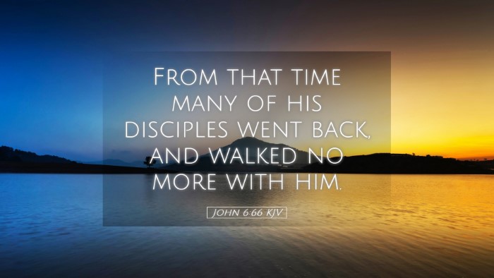 Picture 05 - John 6:66 KJV Desktop Wallpaper - From that time many of his disciples went back, - Desktop Bible Verse Wallpaper
