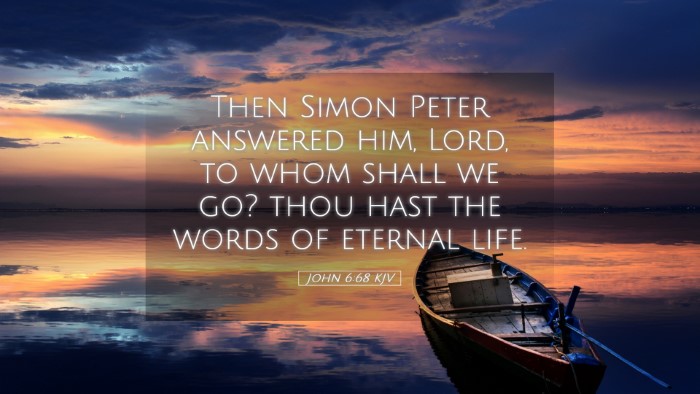 Picture 05 - John 6:68 KJV Desktop Wallpaper - Then Simon Peter answered him, Lord, to whom - Desktop Bible Verse Wallpaper