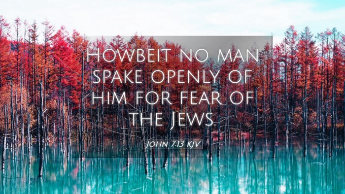 Picture 05 - John 7:13 KJV Desktop Wallpaper - Howbeit no man spake openly of him for fear of - Desktop Bible Verse Wallpaper