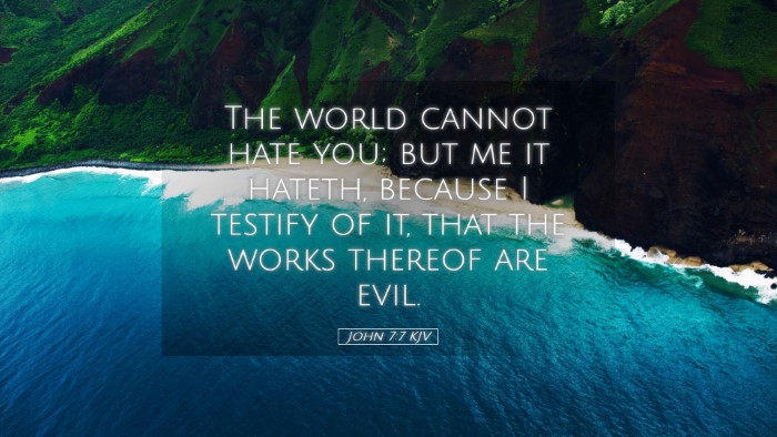 Picture 05 - John 7:7 KJV Desktop Wallpaper - The world cannot hate you; but me it hateth, - Desktop Bible Verse Wallpaper