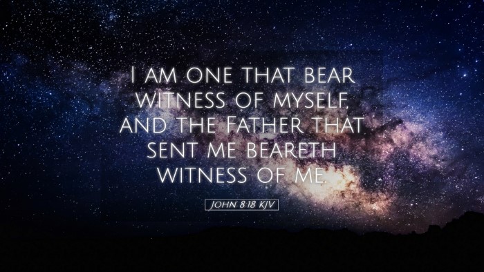 Picture 05 - John 8:18 KJV Desktop Wallpaper - I am one that bear witness of myself, and the - Desktop Bible Verse Wallpaper