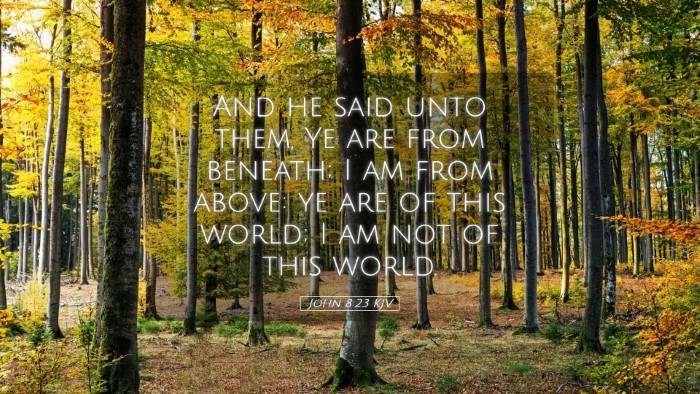 Picture 05 - John 8:23 KJV Desktop Wallpaper - And he said unto them, Ye are from beneath; I am - Desktop Bible Verse Wallpaper