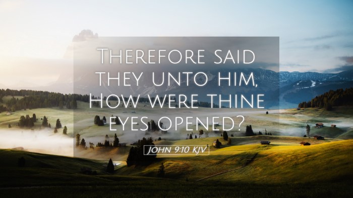 Picture 05 - John 9:10 KJV Desktop Wallpaper - Therefore said they unto him, How were thine eyes - Desktop Bible Verse Wallpaper