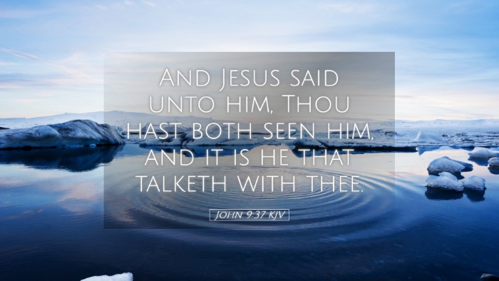 Picture 05 - John 9:37 KJV Desktop Wallpaper - And Jesus said unto him, Thou hast both seen him, - Desktop Bible Verse Wallpaper