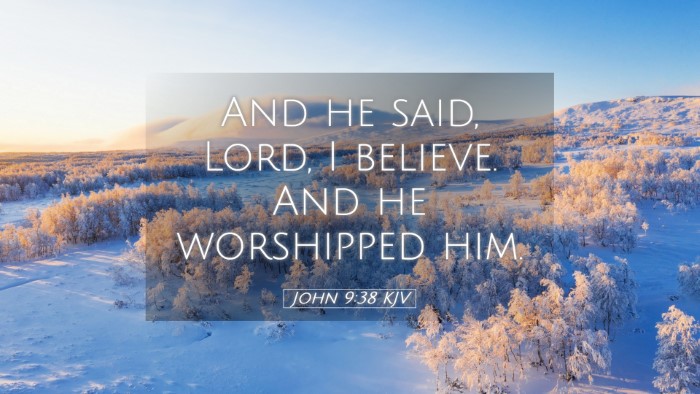 Picture 05 - John 9:38 KJV Desktop Wallpaper - And he said, Lord, I believe. And he worshipped - Desktop Bible Verse Wallpaper