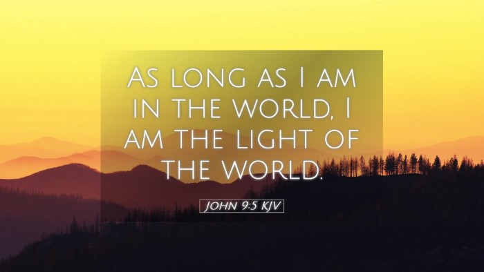 Picture 05 - John 9:5 KJV Desktop Wallpaper - As long as I am in the world, I am the light of - Desktop Bible Verse Wallpaper
