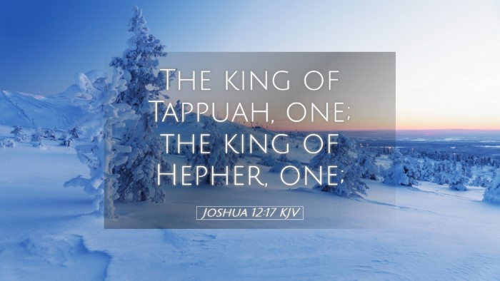 Picture 05 - Joshua 12:17 KJV Desktop Wallpaper - The king of Tappuah, one; the king of Hepher, - Desktop Bible Verse Wallpaper