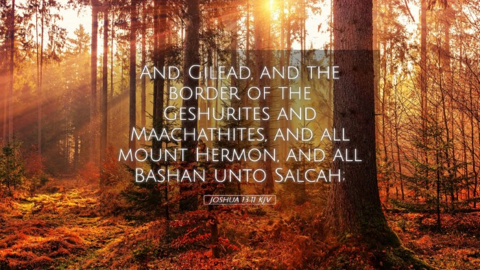 Picture 05 - Joshua 13:11 KJV Desktop Wallpaper - And Gilead, and the border of the Geshurites and - Desktop Bible Verse Wallpaper