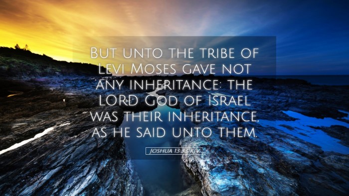 Picture 05 - Joshua 13:33 KJV Desktop Wallpaper - But unto the tribe of Levi Moses gave not any - Desktop Bible Verse Wallpaper