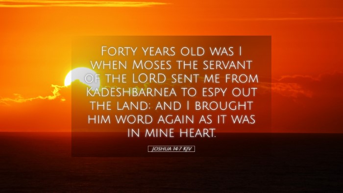 Picture 05 - Joshua 14:7 KJV Desktop Wallpaper - Forty years old was I when Moses the servant of - Desktop Bible Verse Wallpaper