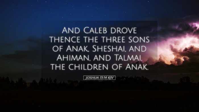 Picture 05 - Joshua 15:14 KJV Desktop Wallpaper - And Caleb drove thence the three sons of Anak, - Desktop Bible Verse Wallpaper