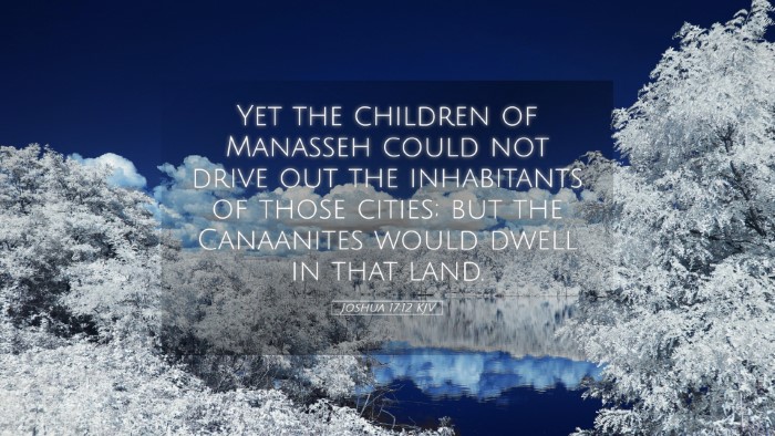 Picture 05 - Joshua 17:12 KJV Desktop Wallpaper - Yet the children of Manasseh could not drive out - Desktop Bible Verse Wallpaper