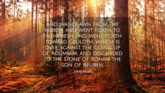Picture 05 - Joshua 18:17 KJV Desktop Wallpaper - And was drawn from the north, and went forth to - Desktop Bible Verse Wallpaper