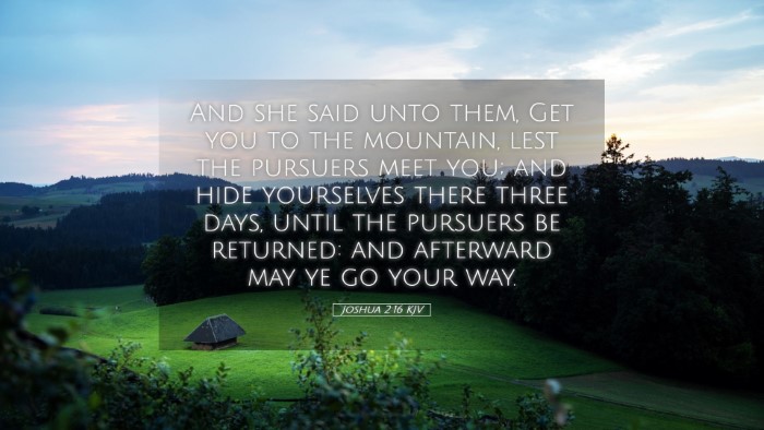 Picture 05 - Joshua 2:16 KJV Desktop Wallpaper - And she said unto them, Get you to the mountain, - Desktop Bible Verse Wallpaper