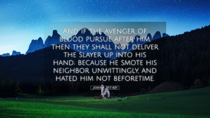 Picture 05 - Joshua 20:5 KJV Desktop Wallpaper - And if the avenger of blood pursue after him, - Desktop Bible Verse Wallpaper
