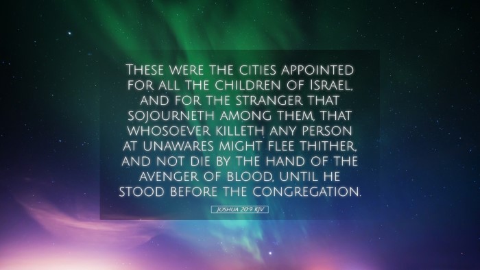 Picture 05 - Joshua 20:9 KJV Desktop Wallpaper - These were the cities appointed for all the - Desktop Bible Verse Wallpaper