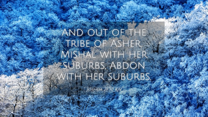 Picture 05 - Joshua 21:30 KJV Desktop Wallpaper - And out of the tribe of Asher, Mishal with her - Desktop Bible Verse Wallpaper