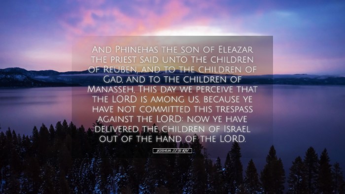 Picture 05 - Joshua 22:31 KJV Desktop Wallpaper - And Phinehas the son of Eleazar the priest said - Desktop Bible Verse Wallpaper