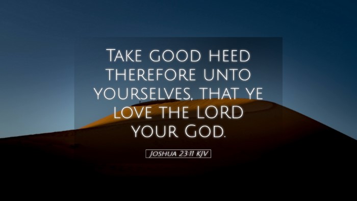 Picture 05 - Joshua 23:11 KJV Desktop Wallpaper - Take good heed therefore unto yourselves, that ye - Desktop Bible Verse Wallpaper