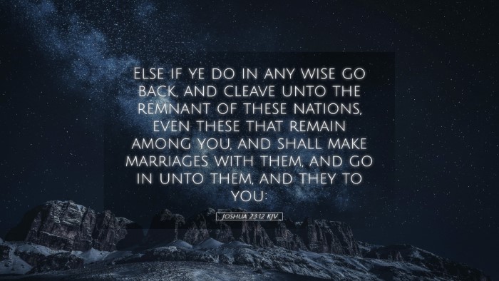 Picture 05 - Joshua 23:12 KJV Desktop Wallpaper - Else if ye do in any wise go back, and cleave - Desktop Bible Verse Wallpaper