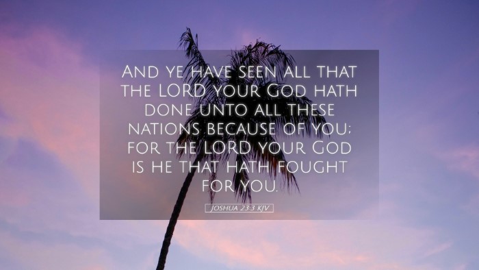 Picture 05 - Joshua 23:3 KJV Desktop Wallpaper - And ye have seen all that the LORD your God hath - Desktop Bible Verse Wallpaper